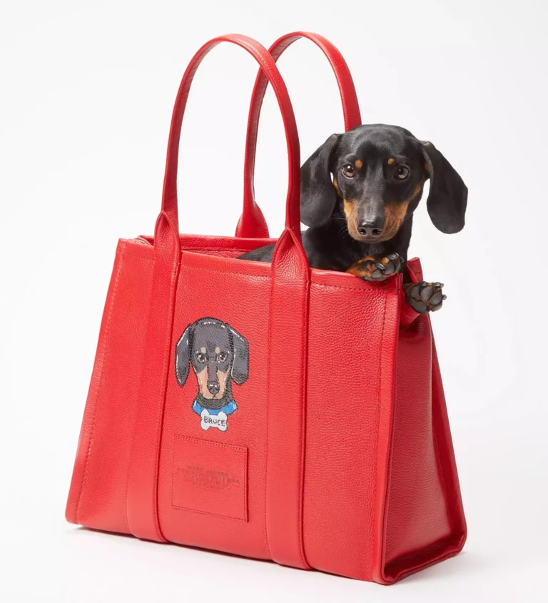 Marc Jacobs Transforms Handbags into Pet Portrait Masterpieces in the Hamptons